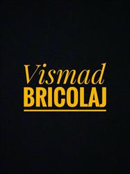 Vismad Bricolaj, Dridu program de funcționare