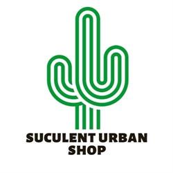 Suculent Urban Shop, Popeşti-Leordeni program de funcționare