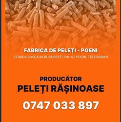 Fabrica de Peleţi - Poeni, program de funcționare