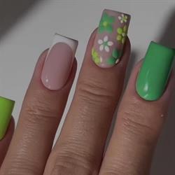 Silvia Nails, Deva program de funcționare