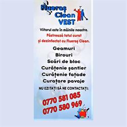 Flueraş Clean Vest, Timişoara program de funcționare