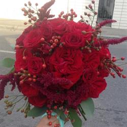 Andra Flowers - Florărie Buzău, program de funcționare