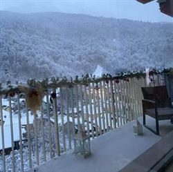 Apartamente Carmen Sinaia, program de funcționare
