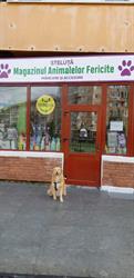 Petshop Steluţă. Sibiu, program de funcționare