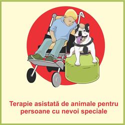 Cabinetul lui HAM HAM, Galaţi program de funcționare