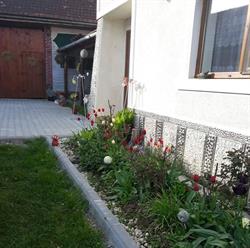 Pensiunea Margareta, Covasna program de funcționare