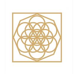 Life Concept Spa, Dumbrăviţa program de funcționare