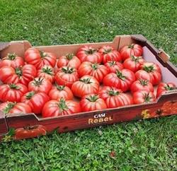 La Johnny legume & fructe SRL, Sângeorz-Băi program de funcționare