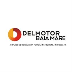 Delmotor, Baia Mare program de funcționare