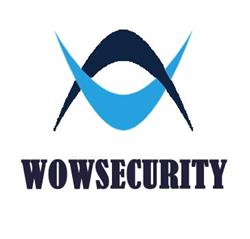 WOWSECURITY - Professional Security Services (Montaj Sisteme de Securitate), Galaţi program de funcționare