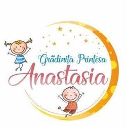 Gradinita Printesa Anastasia, Iaşi program de funcționare