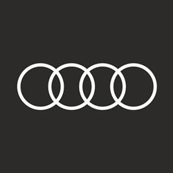 Cybernet Auto Center Audi Bacau, program de funcționare