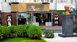 Centrul Cultural Eugen Ionescu Slatina, program de funcționare