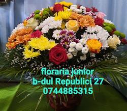 Floraria Junior, Piatra-Neamţ program de funcționare