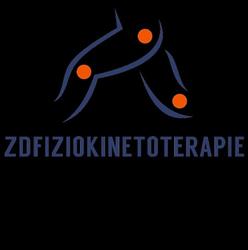 ZD Fiziokinetoterapie, Ineu program de funcționare