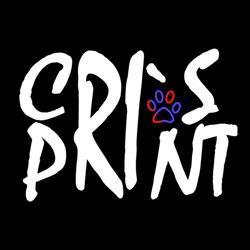 CrisPrint, Huşi program de funcționare