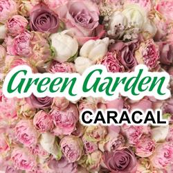 Floraria Green Garden (Caracal), program de funcționare