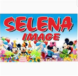 Selena Image, Lupeni program de funcționare