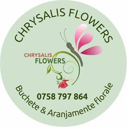 ChrysalisFlowers, Galaţi program de funcționare