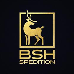 BSH Spedition SRL, Carei program de funcționare