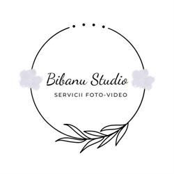 Bibanu Studio, Târgu Jiu program de funcționare