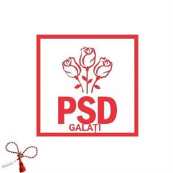 PSD Galati, program de funcționare
