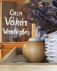 Casa Vákár vendégház, Praid program de funcționare