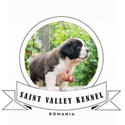 Saint Valley Kennel Romania, Şimleu Silvaniei program de funcționare