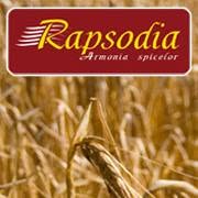 Rapsodia Armonia spicelor, Timişoara program de funcționare