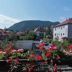 Casa Bologna, Braşov program de funcționare