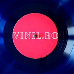 vinil, Mogoşoaia program de funcționare