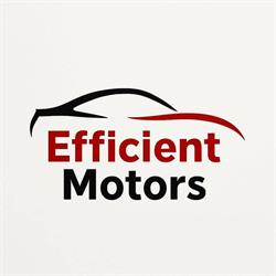 EFFICIENT MOTORS, Pantelimon program de funcționare