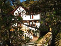 Casa Bobo, Baia de Fier program de funcționare