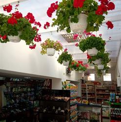 Carmela Market, Săcele program de funcționare
