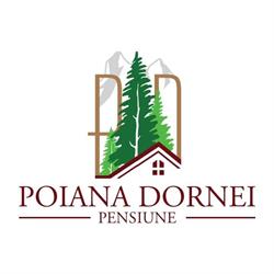 Pensiunea Poiana Dornei, Vatra Dornei program de funcționare