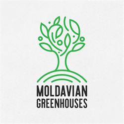 Moldavian Greenhouses, Dorohoi program de funcționare