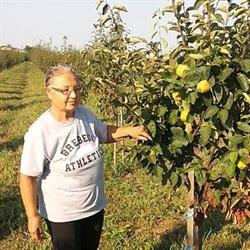 Livada Bunicii, Găiseni program de funcționare