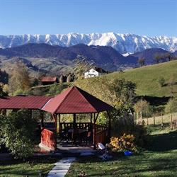 Nona Highland Home - cazare Drumul Carului- Moieciu, program de funcționare