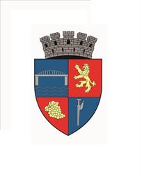 Primaria Municipiului Medgidia, program de funcționare