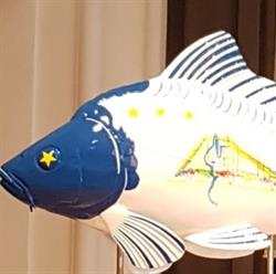 ROMFISH National Fish Farmers Association, Iaşi program de funcționare