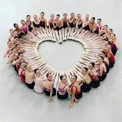 Lana Dance Studio, Târgu Mureş program de funcționare