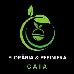 Pepiniera & Floraria Caia, Vişeu de Sus program de funcționare