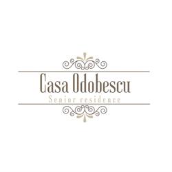 Casa Odobescu, Timişoara program de funcționare