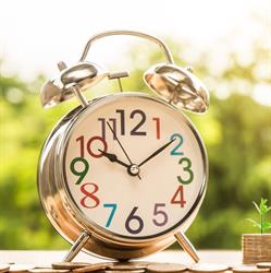 Moldar Expert Consulting, Timişoara program de funcționare