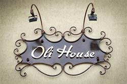 Oli House, Alba Iulia program de funcționare