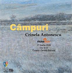 Museikon, Alba Iulia program de funcționare