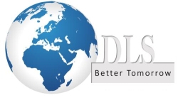 Denluk Solutions, Modelu program de funcționare
