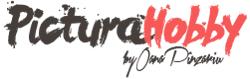 Pictura Hobby, Petreşti program de funcționare