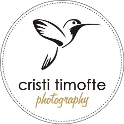 Cristi Timofte, Iaşi program de funcționare