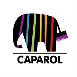 Caparol Club, Sâncraiu de Mureş program de funcționare